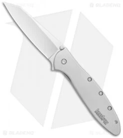 Kershaw Random Leek Reverse Tanto Assisted Opening Knife (3" Bead Blast) 1660R